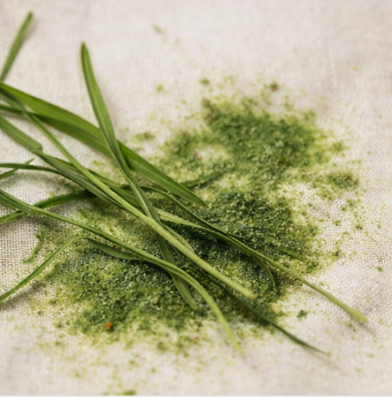 How to Remove Grass Stains: The Complete Guide